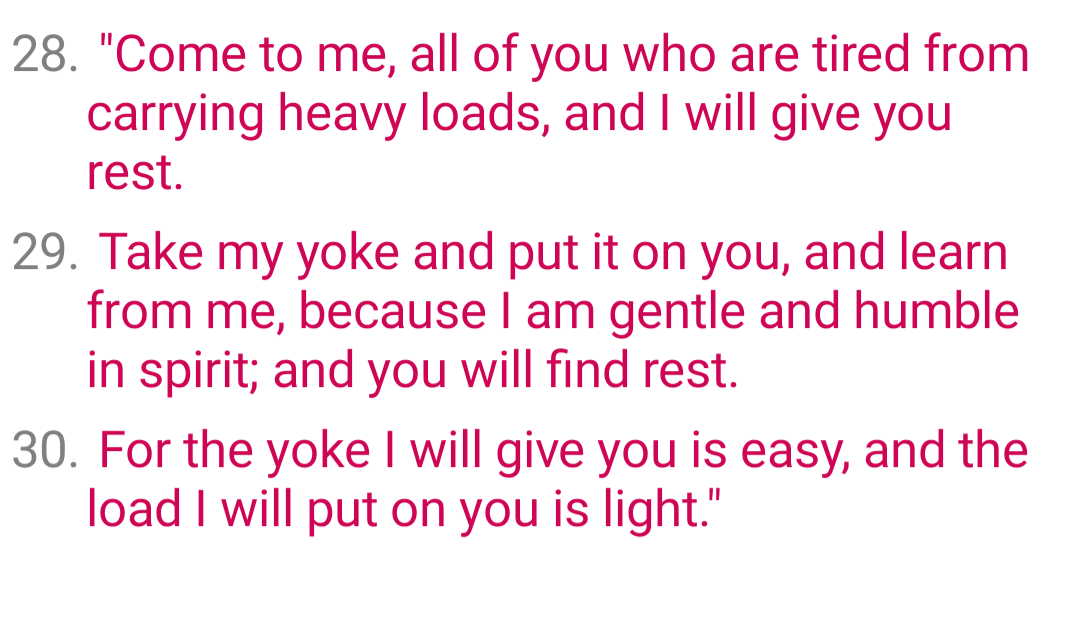 Screenshot 20260317 201101 Good News Bible